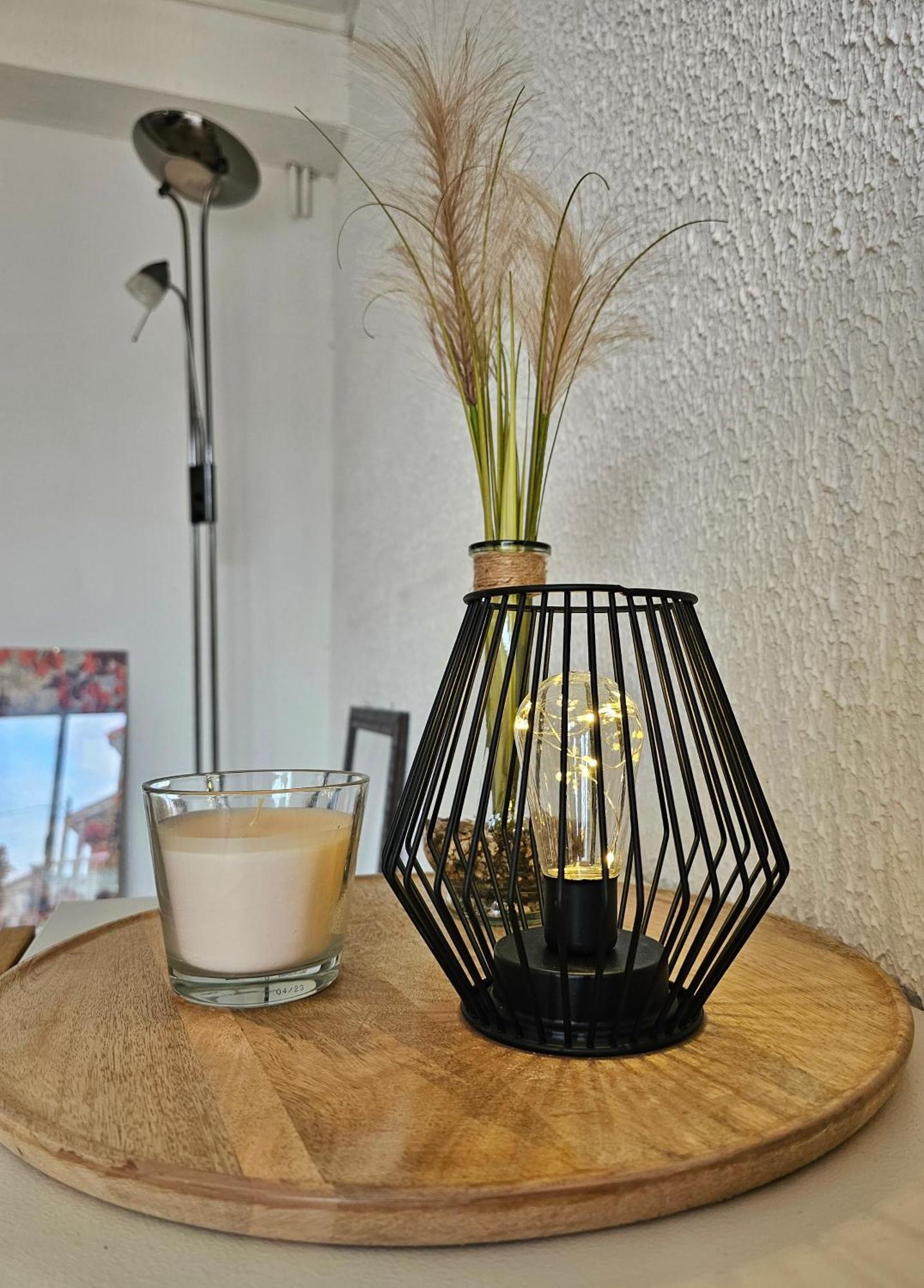 Appartement Lumineux Et Calme En Rez-De-Jardin Castanet-Tolosan Ngoại thất bức ảnh